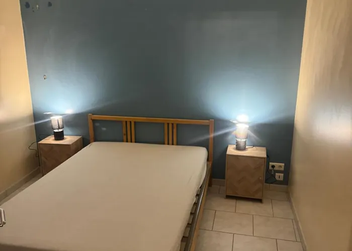 Apartment Lumineux Garage Prive Centre-ville *