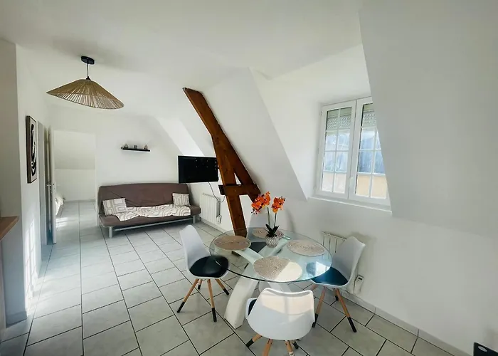 Lumineux Garage Privé Centre-ville